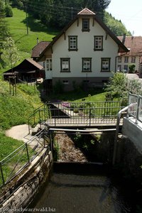 kleines Stauwehr in Neuenweg