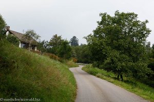 Wanderweg von Neuenweg zum Nonnenmattweiher