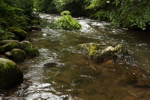 Wilde Gutach bei Simonswald