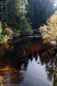 Bachlauf im Hochmoor nahe Todtmoos