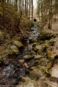 Blick zurück zur Straße