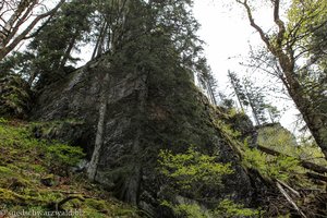 Spuren der Gebirgsbildung am Feldberg