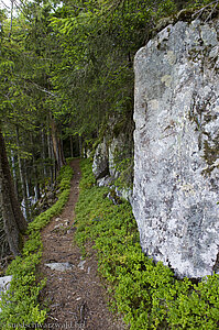 Am Rappenfelsen