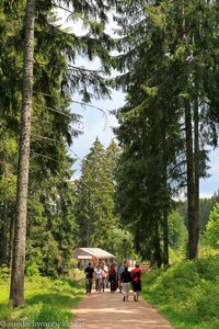 Wanderweg zwischen Staumauer und dem Unterkrummenhof