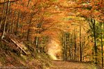 Wanderung auf dem Yacher Höhenweg