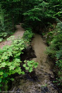 Weg entlang der Hintere Wühre