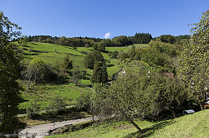 Ausblick vom Bästental über die Rench