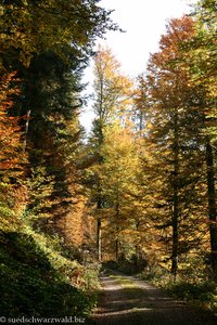 auf dem Weg nach Lindau