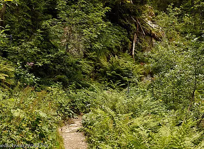 Wanderung auf dem Felsenweg