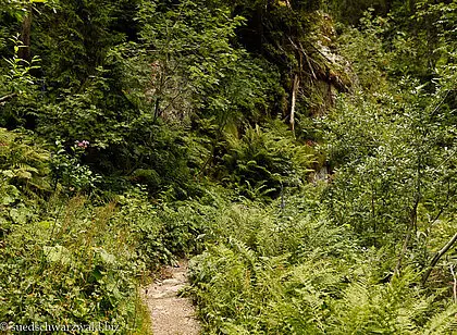 Wanderung auf dem Felsenweg
