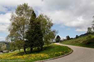 Aufbruch beim Wanderparkplatz Ankenbühl