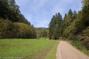 Blick über das Vogelbachtal bei Gutach