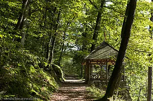 Altanenhäusle bei Bad Peterstal