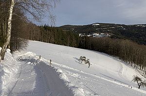 Im Winter gewalzter Bereich des Wiesensteigs. 