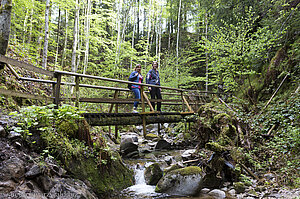 in der Hohwehraschlucht