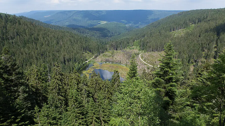 Aussicht vom Huzenbacher Seeblick