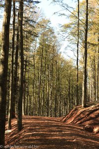 Wanderweg zur Thomashütte