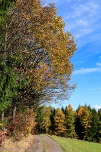 Rückweg zum Wanderparkplatz Kreuzstein