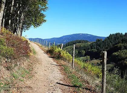 Lautenbacher Hexensteig und Sohlberg