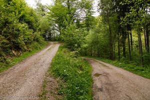 links geht es direkt nach Görwihl, rechts zum Wanderparkplatz Sägmoos