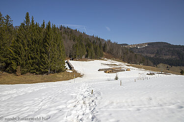 Späte Winteridylle auf dem Hofeck