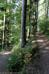 im Zickzack auf dem Philosophenweg