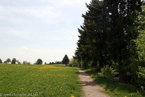 auf dem Weg vom Loipenhäusle nach Frohnschwand