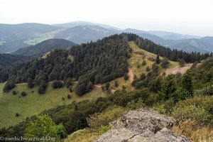 Rapsfelsen - Blick auf den Hohkelch