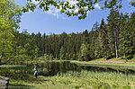 Idylle am Buhlbachsee