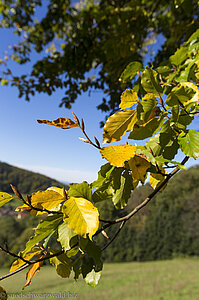 Idylle auf dem Silbersteig Suggenal