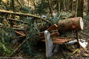 Bei Sturm bieten Bänke nur unzureichenden Schutz vor umstürzenden Bäumen.