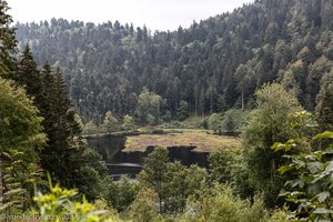 Blick vom Dürsberg auf den Nonnenmattweiher