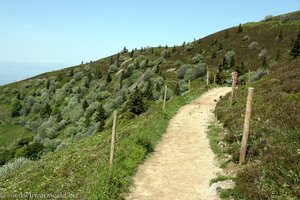 großer Belchenrundweg