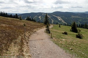 Weg zur Todtnauer Hütte