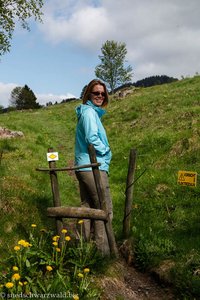 Einstieg in den Panoramaweg bei Ankenbühl