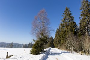 Mittelweg zwischen Schluchsee und Rothaus