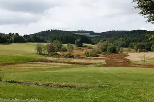 Moore bei Herrischried
