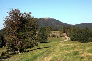 Blick über die Obere Stuhlsebene Richtung Belchen