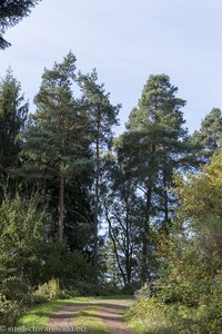 Gutacher Tälersteig im Bereich Schiebbühl