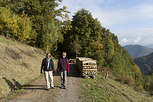 Wanderung auf dem Hausacher Bergsteig