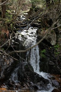 Zastlerbach