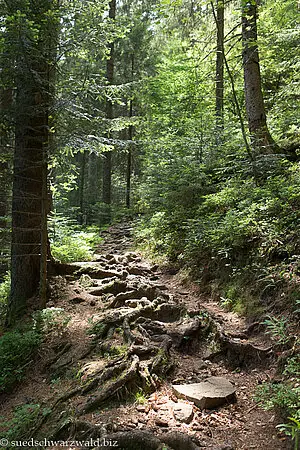 Aufstieg zum Huzenbacher Seeblick