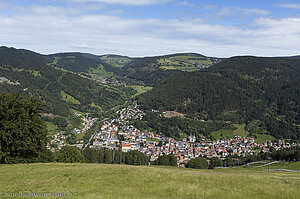 Aussicht vom Hasenhorn über Todtnau