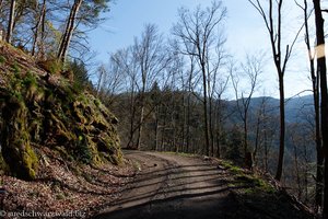 Stollisgrabenweg