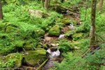 Wanderung durchs Erlenbachtal zum Schlüchtsee