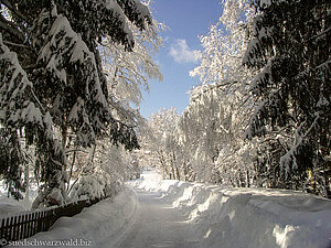 Winterwanderweg am Titisee