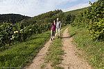 Wanderung auf dem Brennersteig Oberkirch