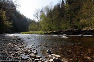 Wutach zwischen Achdorf und Grimmelshofen