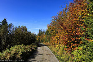 Höhenweg des Baiersbronner Tonbachsteig