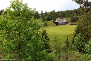 Einzelhof in Blasiwald-Sommerseite